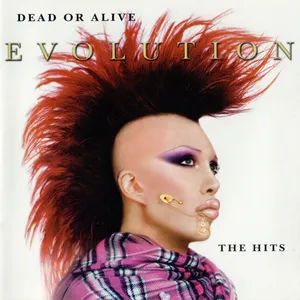 Evolution : the hits